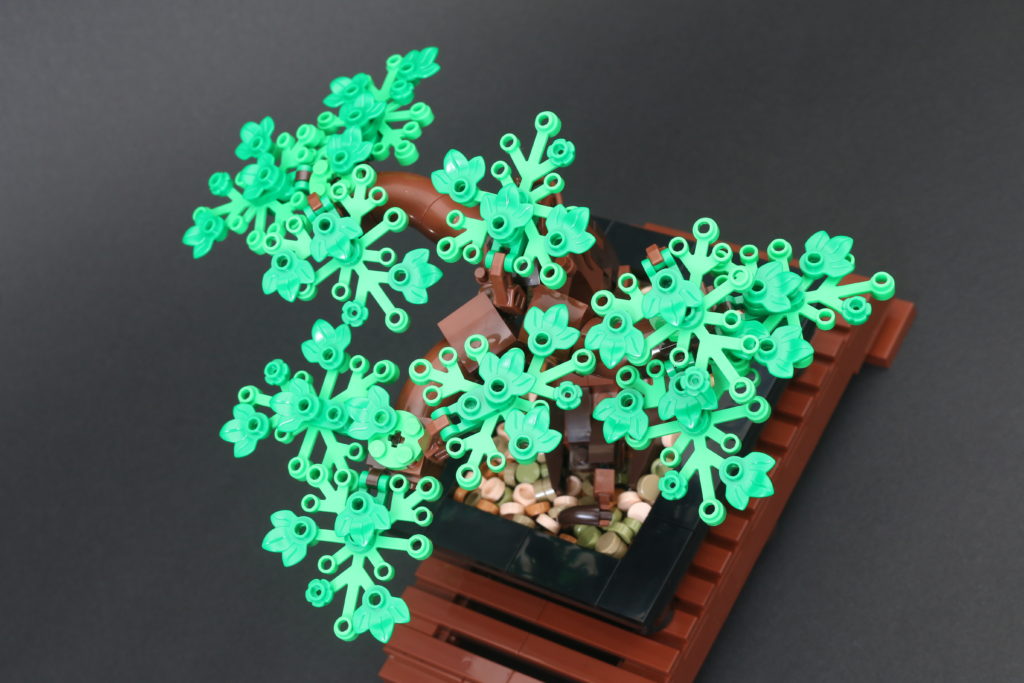 LEGO Botanical Collection 10281 Bonsai Tree review 26
