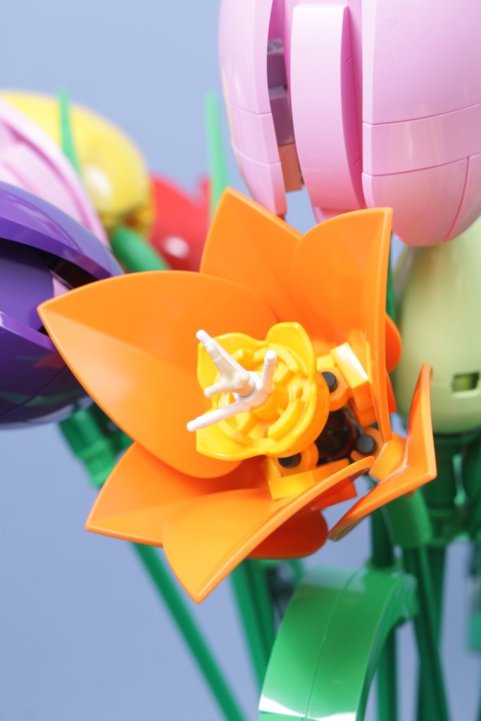 LEGO Botanicals 11501 Tulip Bouquet 11509 Flowering Cactus 11508 Daisies 11504 Peace Lily review 27 683x1024
