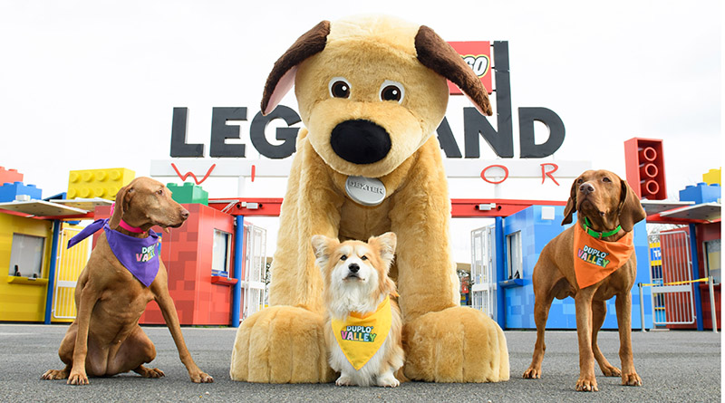 Celebrity dog-fluencers visit LEGOLAND Windsor to meet Dexter the Dog
